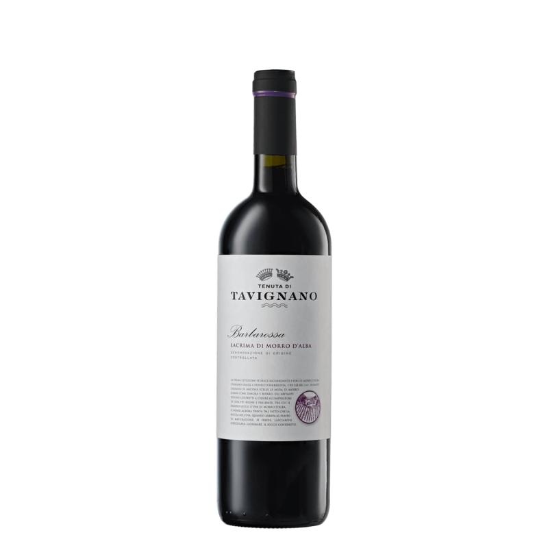 Wino włoskie czerwone, wytrawne Tenuta Di Tavignano Barbarossa Lacrima Di Morro D\'Alba 0,75l 13,5%