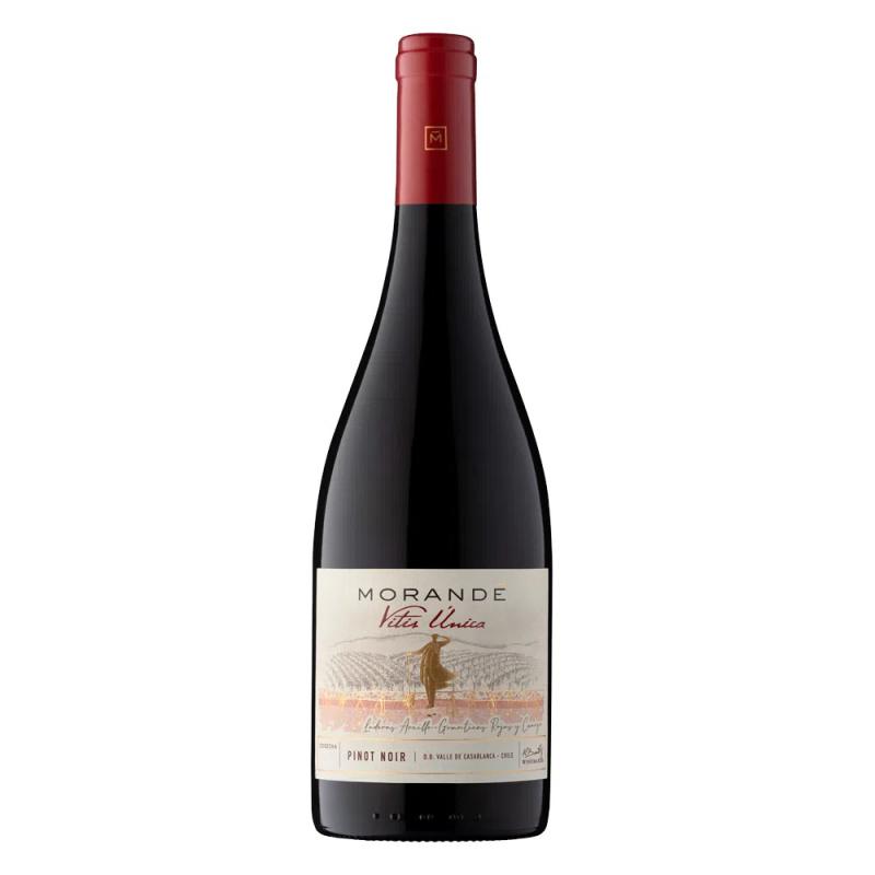 Wino Morande Vitis Unica Pinot Noir czerwone, wytrawne 0,75l 13% Chile