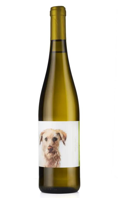 Wino Riesling 0,75L 11,1% B/PW Winnica Bergkolonie
