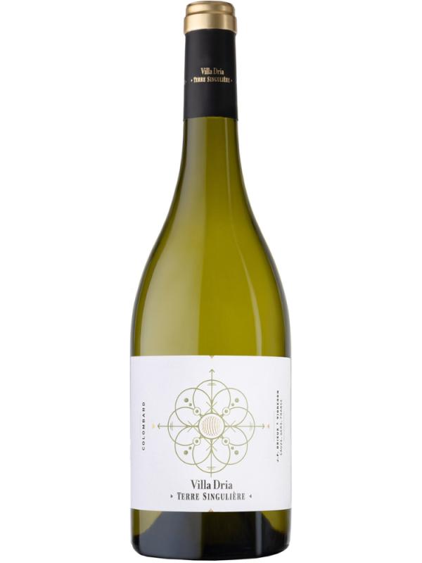 Wino Villa Dria Terre Singuliere 11,5% 0,75L (1)