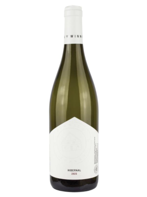 Wino Winnica Turnau Hibernal 2025 białe, półwytrawne 0,75l 10,5% (1)