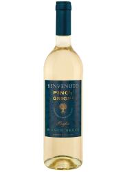 Wino Benvenuto Pinot Grigio IGP Della Emilia białe, wytrawne 0,75l