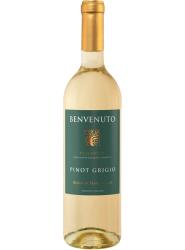 Włoskie Wino Benvenuto Pinot Grigio IGP Dell Emilia białe, półwytrawne 0,75l 