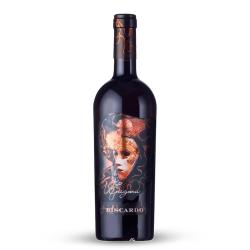 Wino Biscardo Enigma Sangiovese Rubicone Appassimento czerwone, wytrawne 0,75l 15%