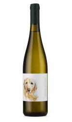 Wino Gruner Veltliner 0,75L 10,2% B/PW Winnica Bergkolonie 