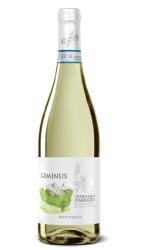 Obrazek dla: Wino Geminus Pecorino Terre d'Abruzzo Monteselva 13,5% 0,75L B/W 