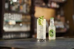 Obrazek 2 dla: Lillet Lemon drink