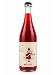 Obrazek dla: WINO SAINT VINCENT RED IS PET FRIZANTE 2025 13% 0,75L CZ/W polski czerwony, wytrawny PetNat 